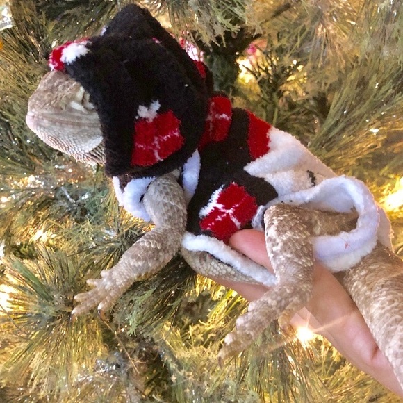 BEARDED SOFT FLEECE SLEEVELESS BODY HOODED SHIRT - Picture 2 of 7